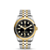 Tudor Black Bay 36 S&G